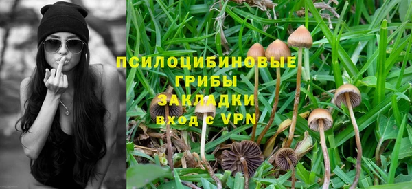 2c-b Липки