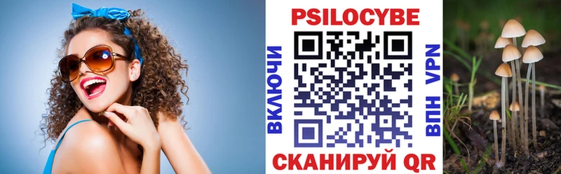 Купить где  Подпорожье  Псилоцибиновые грибы Magic Shrooms 